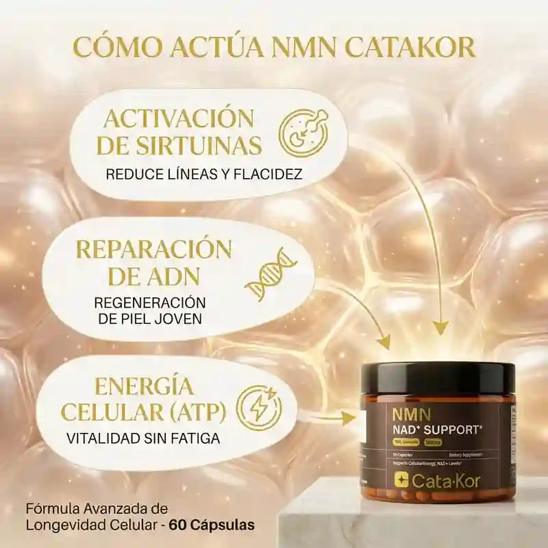 NMN Apoyo Energia Celular