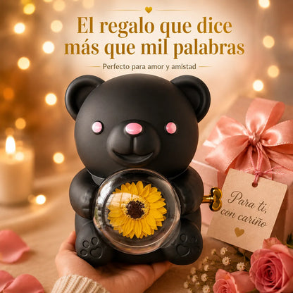 CAJA OSITO GIRASOL + Collar Treboll Corazon