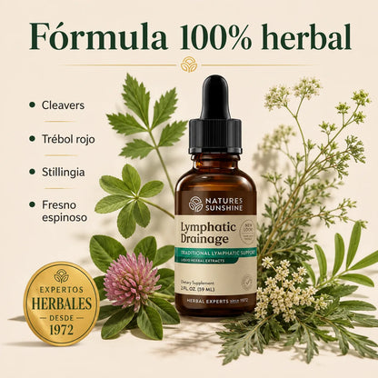 Lymphatic Drainage Drenaje Linfatico