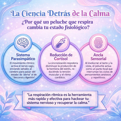 Peluche control de ansiedad de KaJota, suave y adorable, diseñado para brindar comodidad y aliviar el estrés en niños y adultos